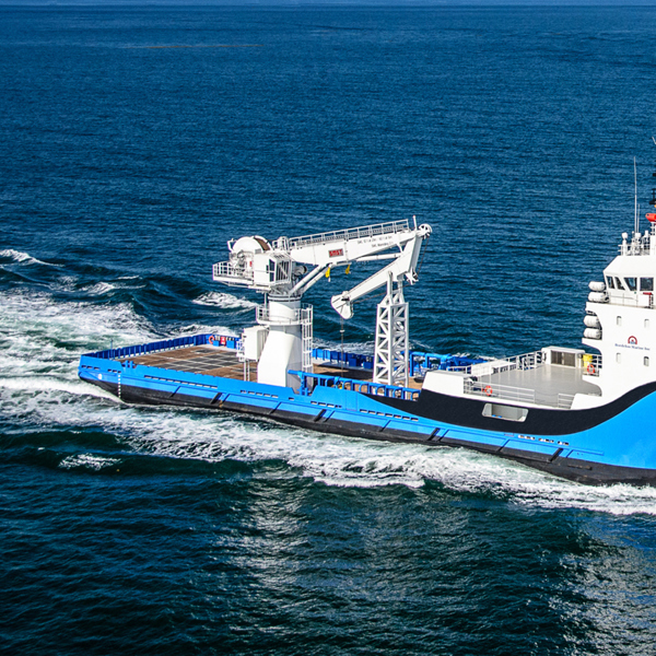 Brandon103 7X4 300Dpi